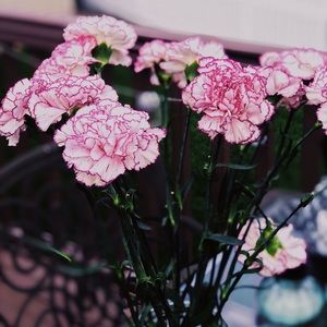 Meet your Posher, Aspen